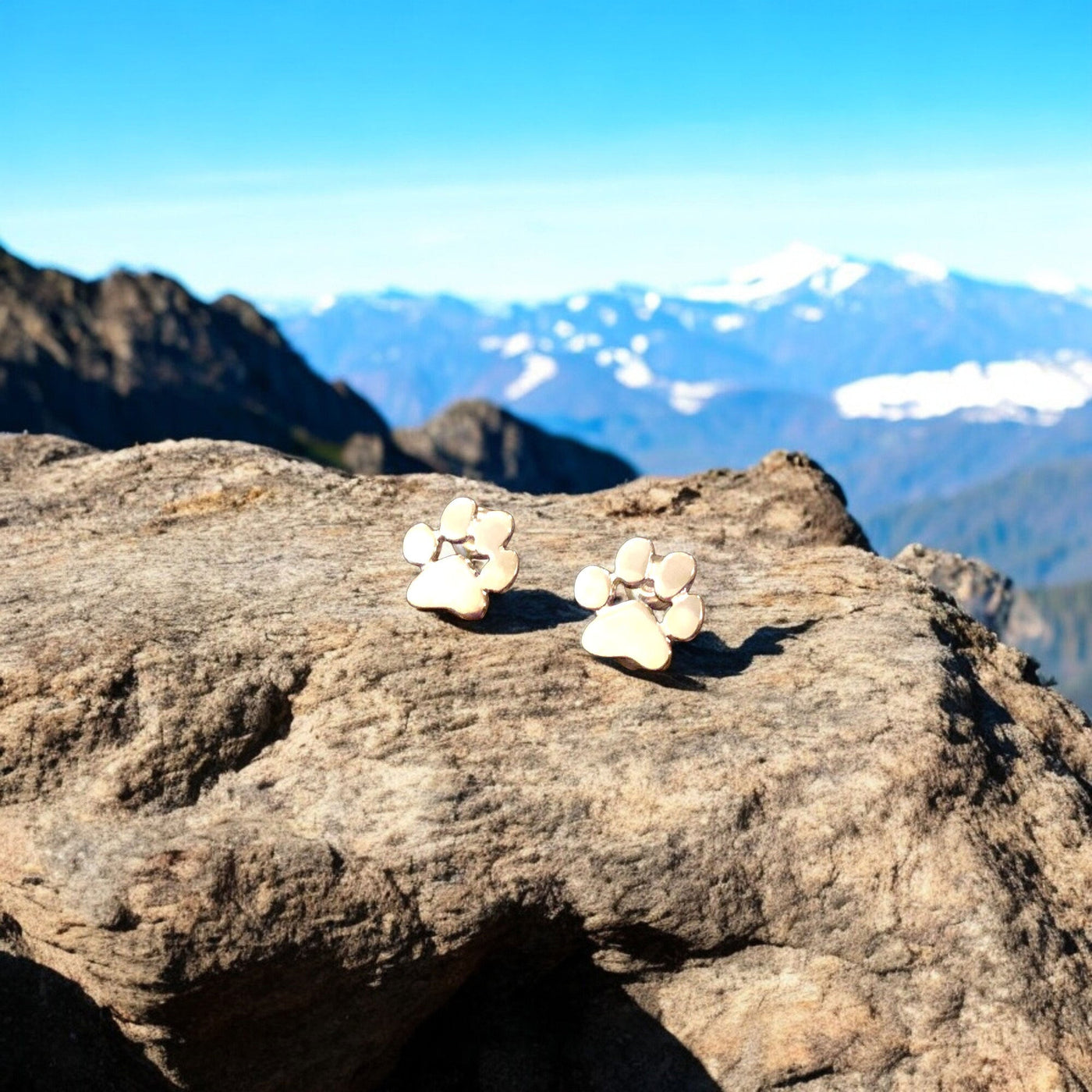 Pattes - Boucles Hypoallergéniques Élégantes